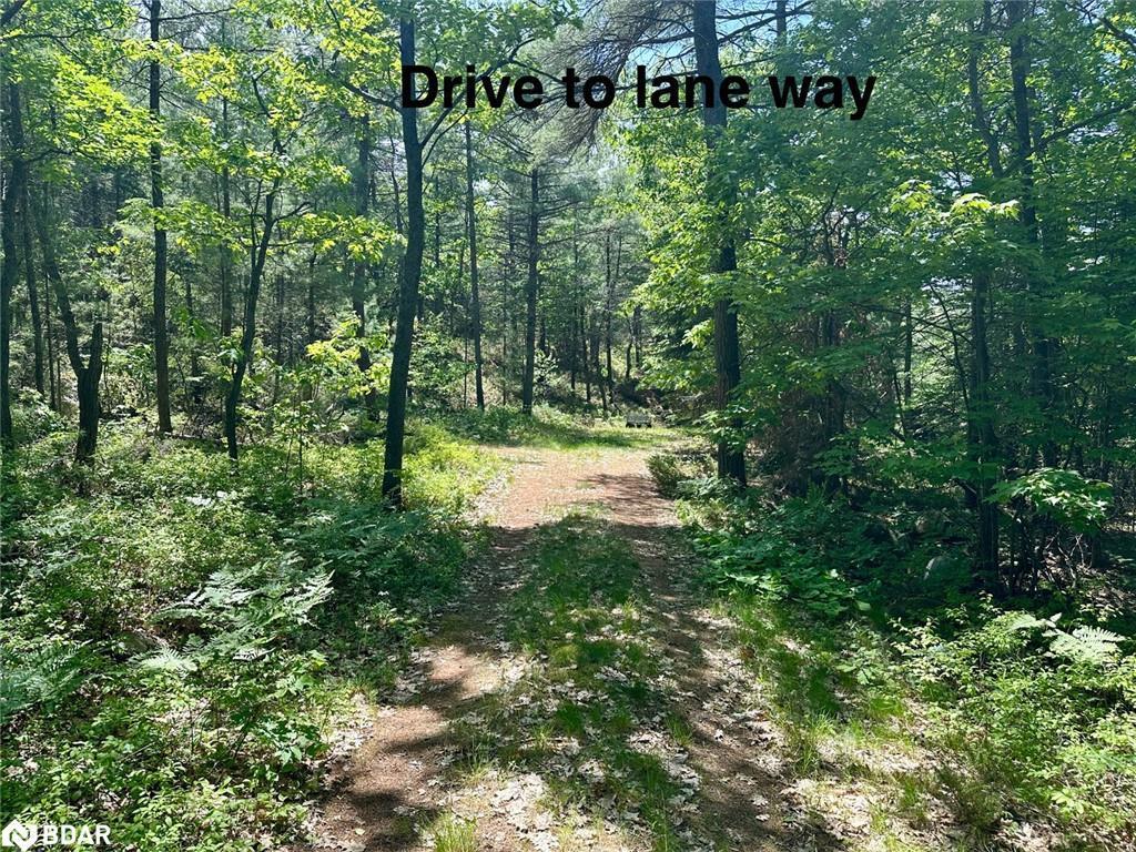 









25


Shawanaga Landing

Road,
Pointe au Baril,




ON
P0G 1K0

