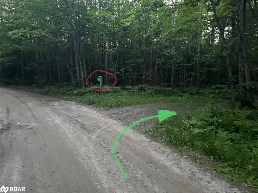 









25


Shawanaga Landing

Road,
Pointe au Baril,




ON
P0G 1K0

