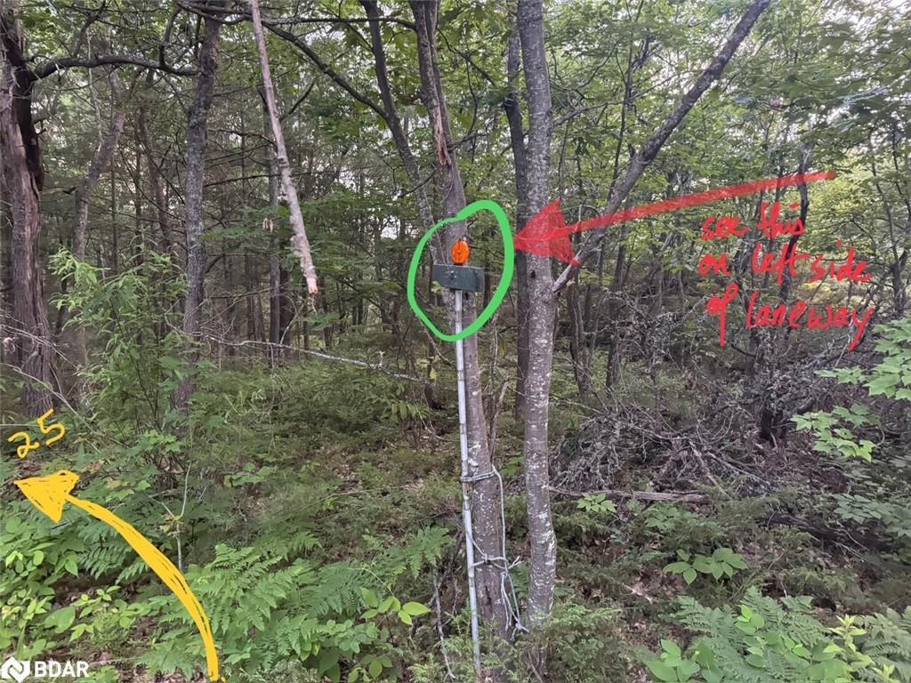 









25


Shawanaga Landing

Road,
Pointe au Baril,




ON
P0G 1K0

