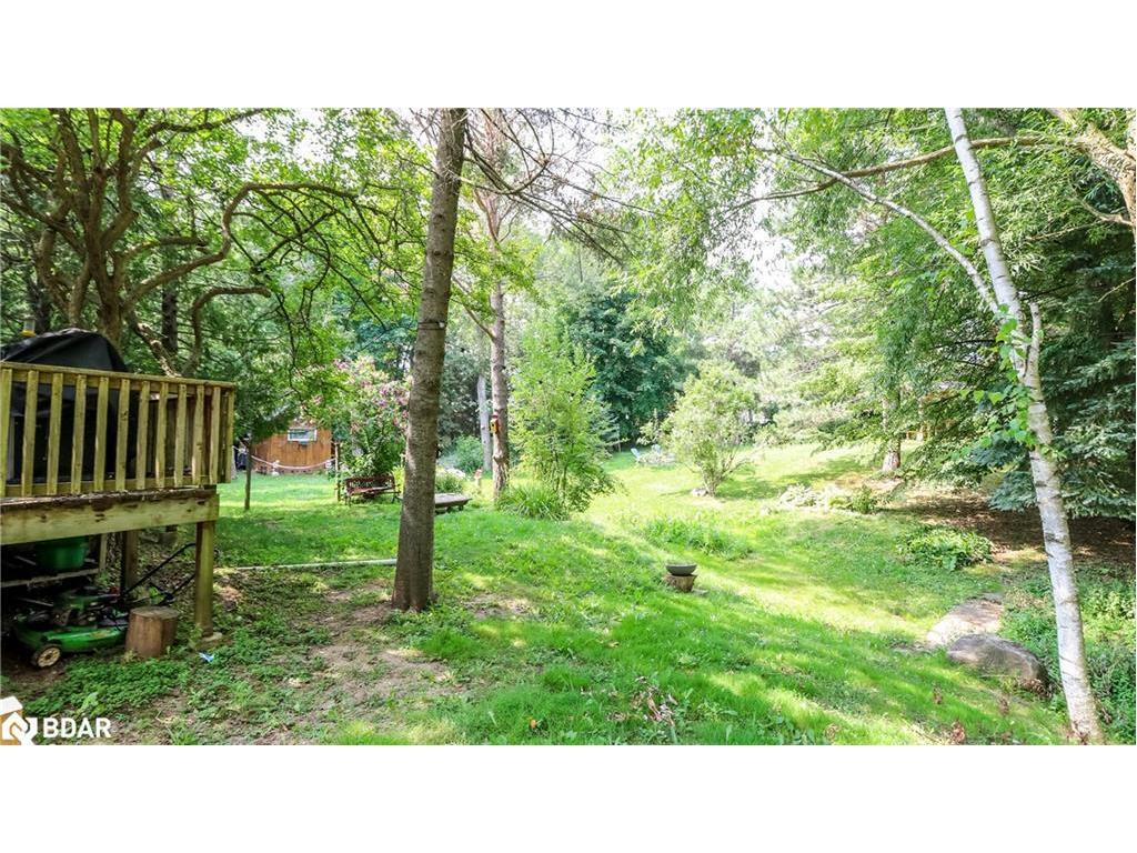 









114


Birch View Trail

Trail,
Collingwood,




ON
L9Y 0M2

