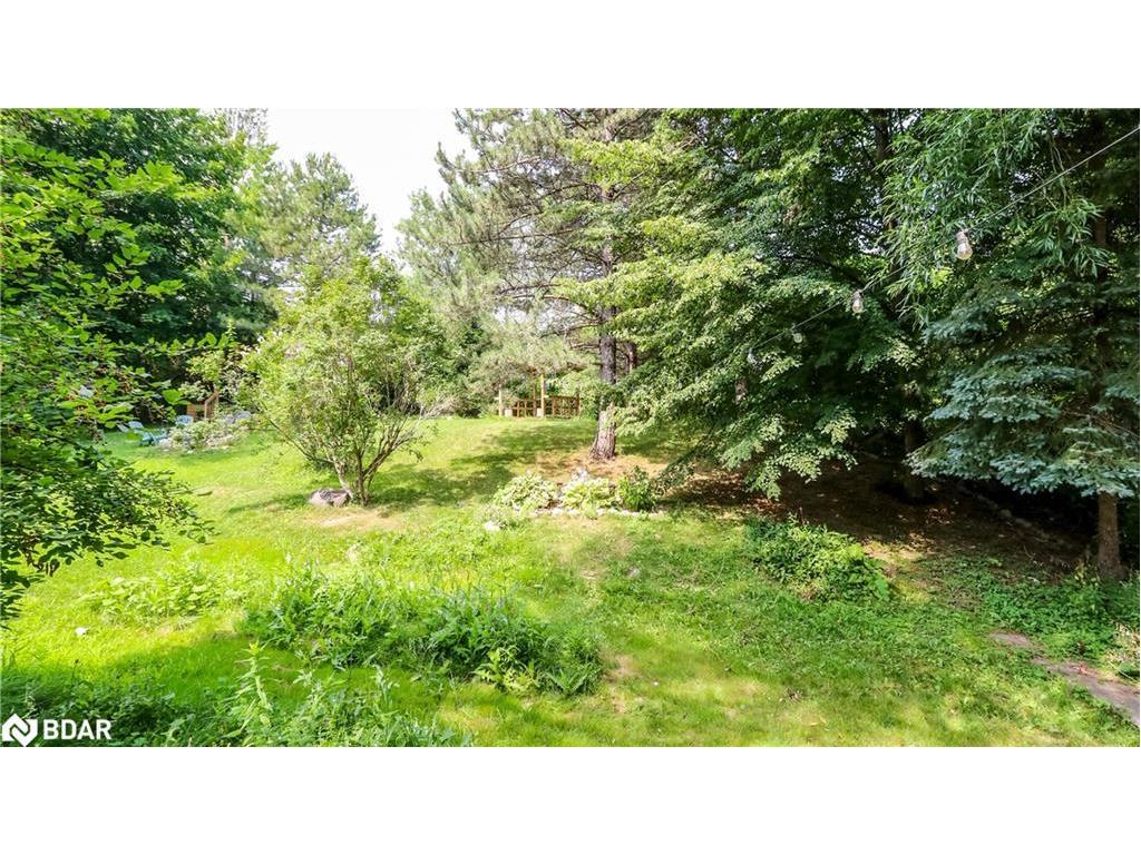 









114


Birch View Trail

Trail,
Collingwood,




ON
L9Y 0M2


