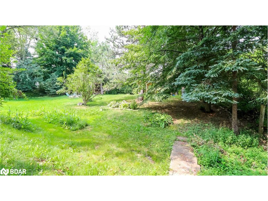 









114


Birch View Trail

Trail,
Collingwood,




ON
L9Y 0M2

