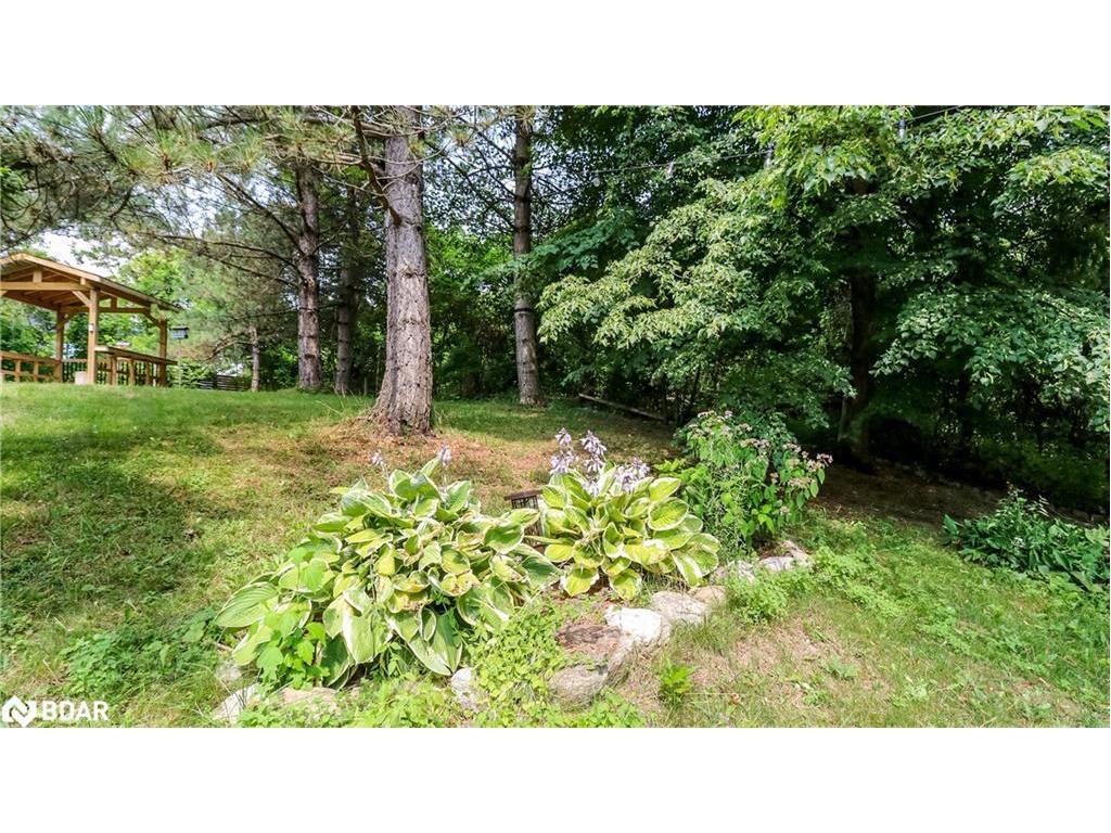 









114


Birch View Trail

Trail,
Collingwood,




ON
L9Y 0M2

