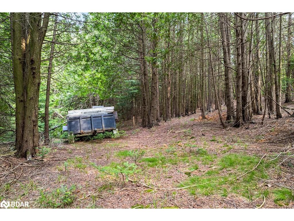 









126


Highland

Drive,
Grey,







ON
N0C 1H0


