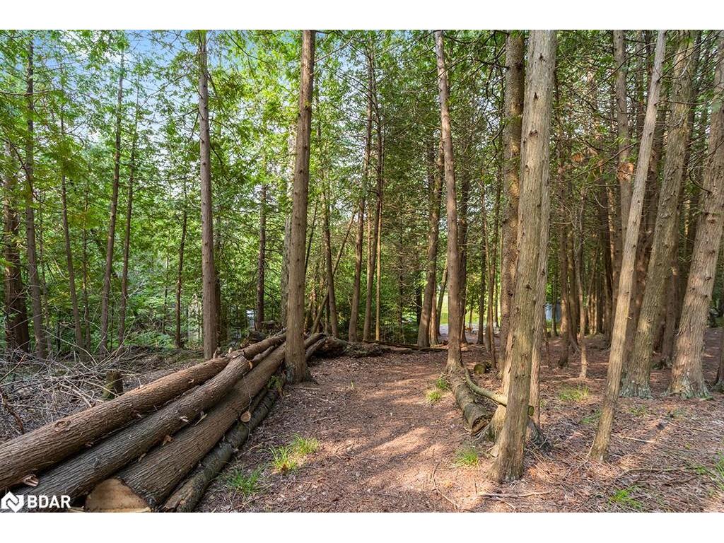 









126


Highland

Drive,
Grey,







ON
N0C 1H0

