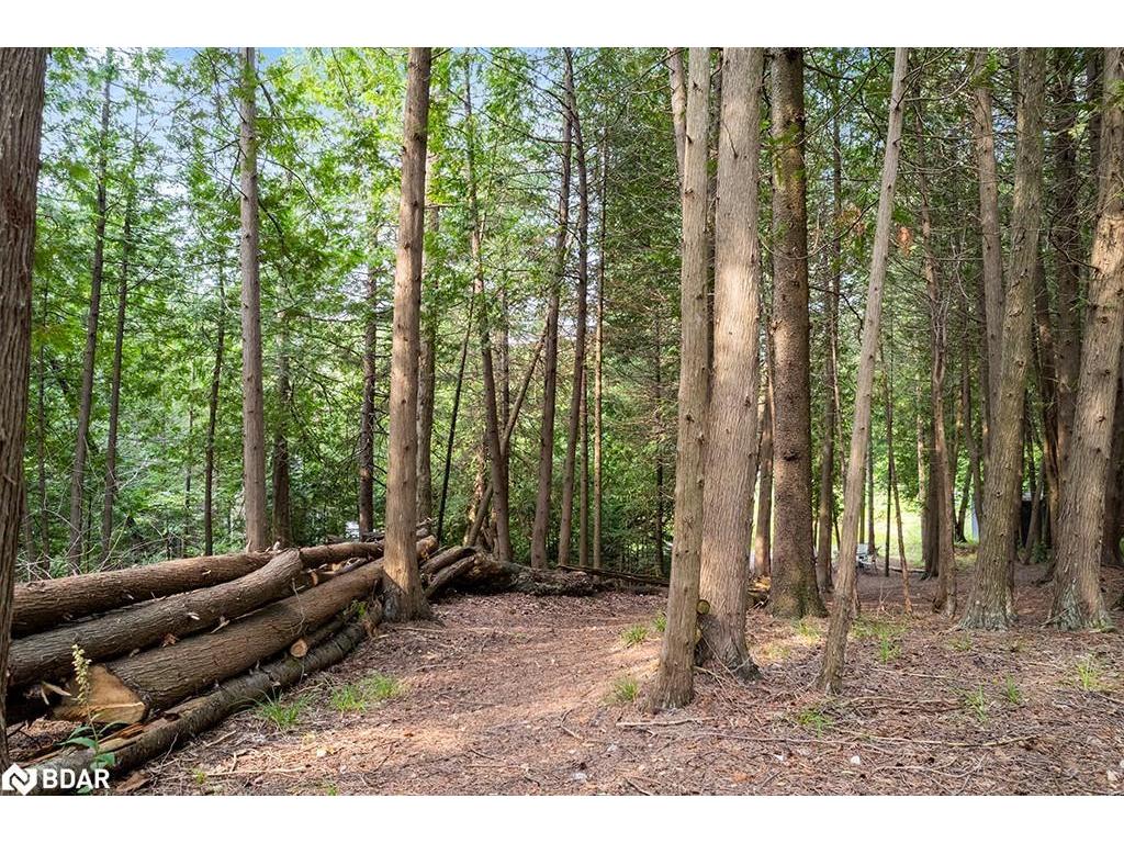 









126


Highland

Drive,
Grey,







ON
N0C 1H0

