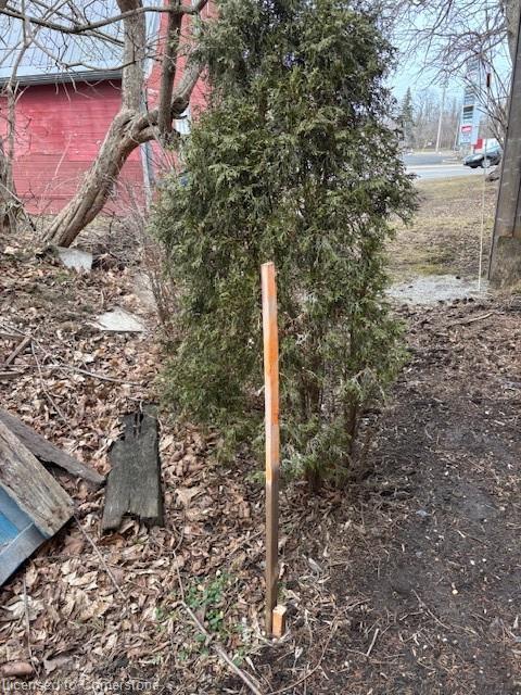 









88


Queensway

Street West,
Simcoe,




ON
N3Y 2M6

