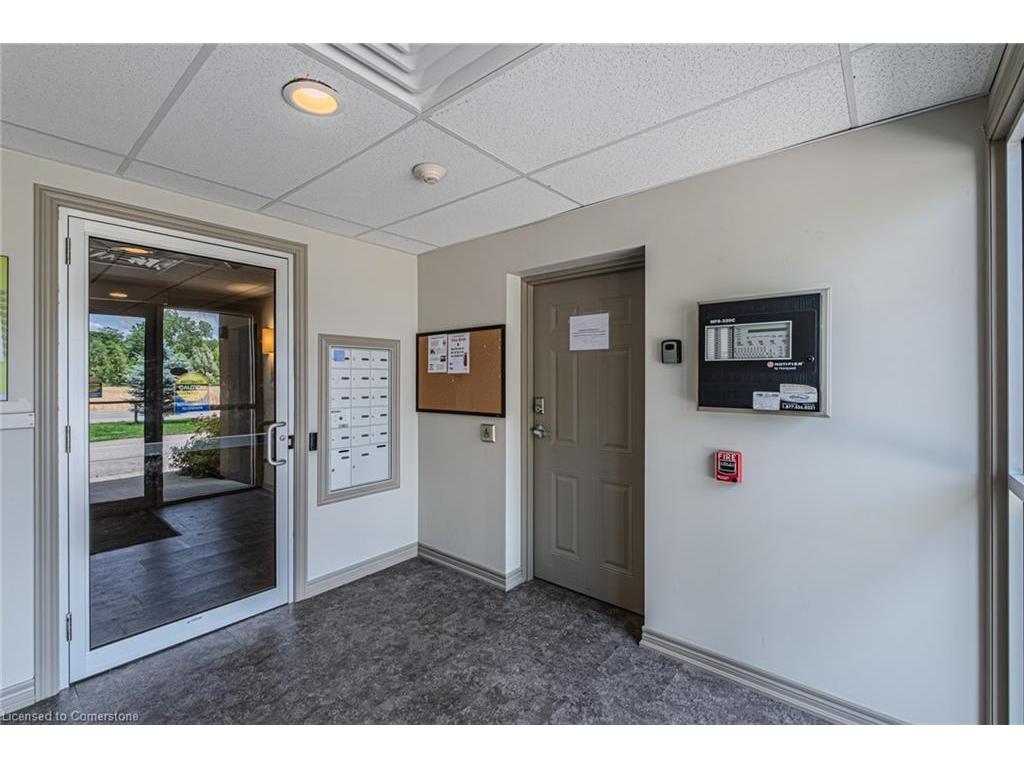 









992


Windham Centre

Road, 8,
Windham Centre,




ON
N0E 2A0

