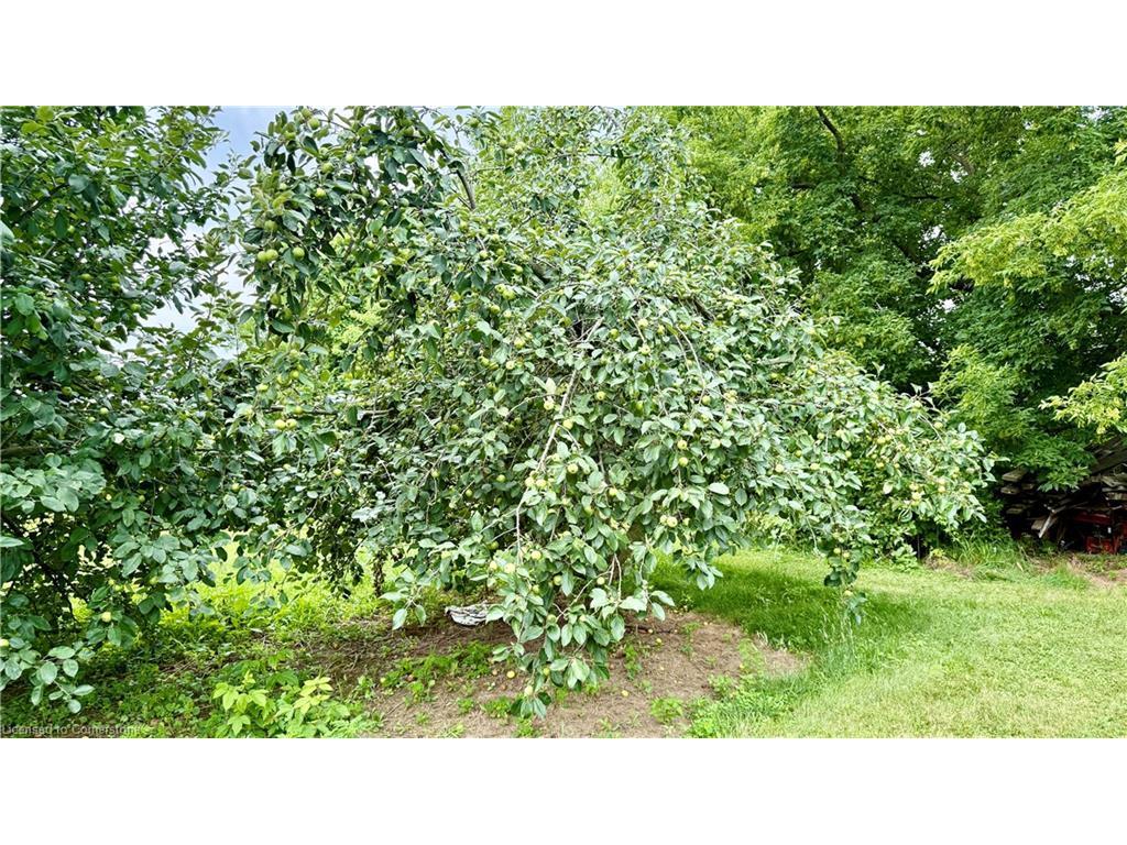 









1665


Cockshutt

Road,
Waterford,




ON
N0E 1Y0

