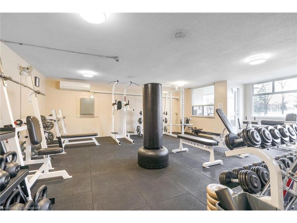 









551


The West Mall

Road, 1219,
Toronto,




ON
M9C 1G7

