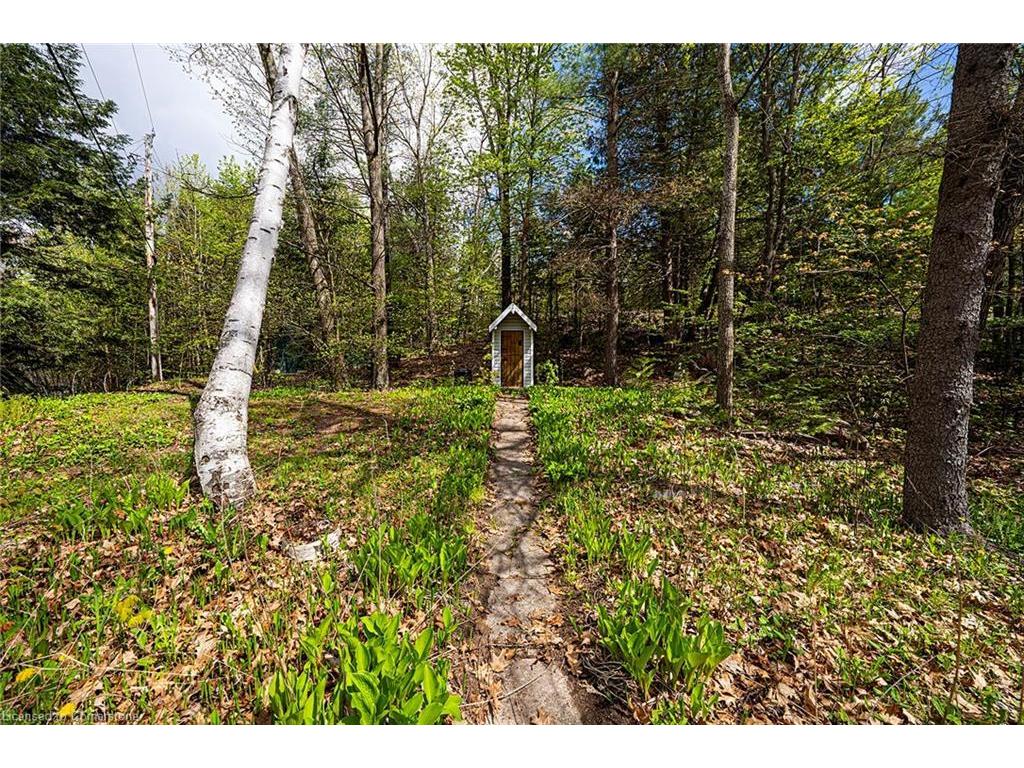 









1270


Wessell

Road,
Haliburton,




ON
K0M 2L1


