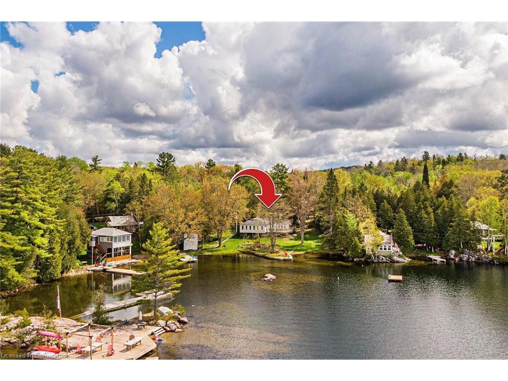 









1270


Wessell

Road,
Haliburton,




ON
K0M 2L1

