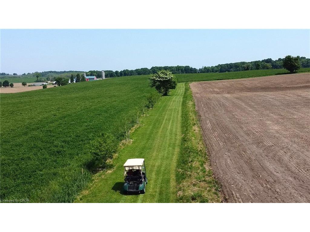 









4385


Hessen Strasse

,
Wellesley,







ON
N0B 2T0

