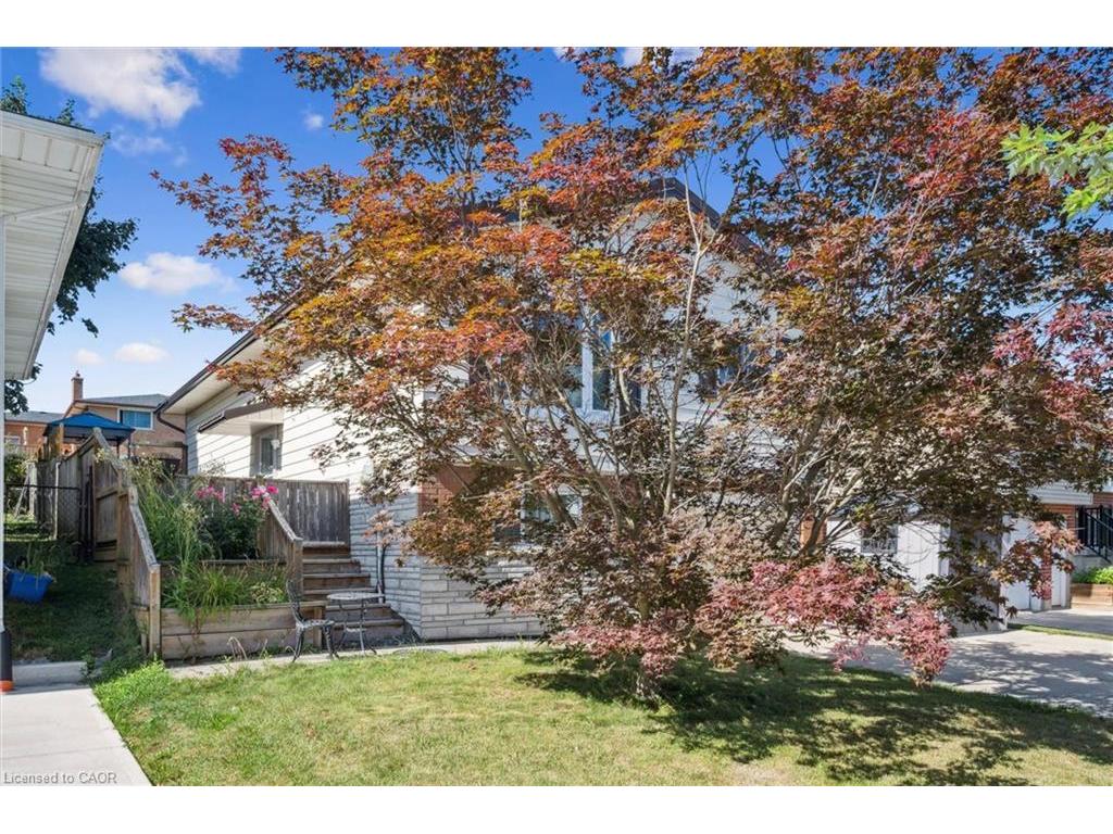 









263


The Country

Way,
Kitchener,




ON
N2E 2V6

