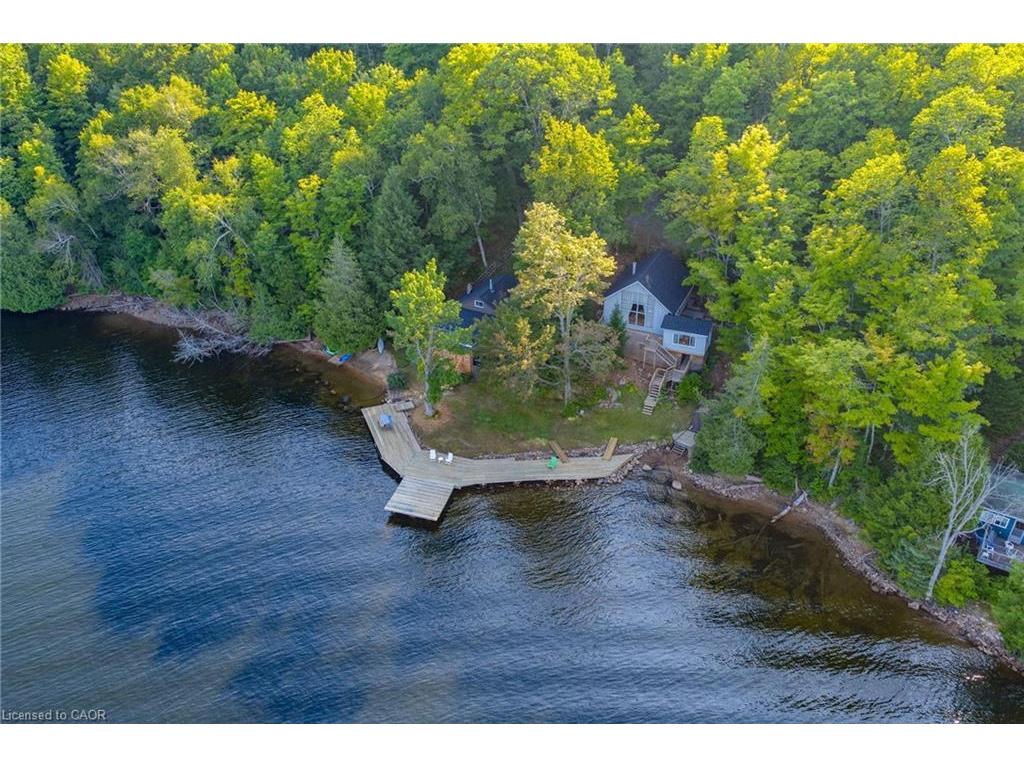 









2726


Kushog Lake

Road,
Haliburton,







ON
K0M 1J2

