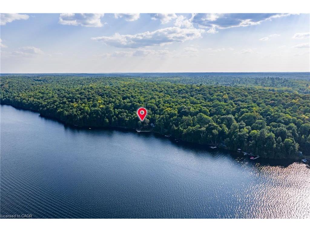









2726


Kushog Lake

Road,
Haliburton,







ON
K0M 1J2

