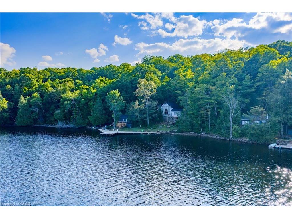 









2726


Kushog Lake

Road,
Haliburton,







ON
K0M 1J2

