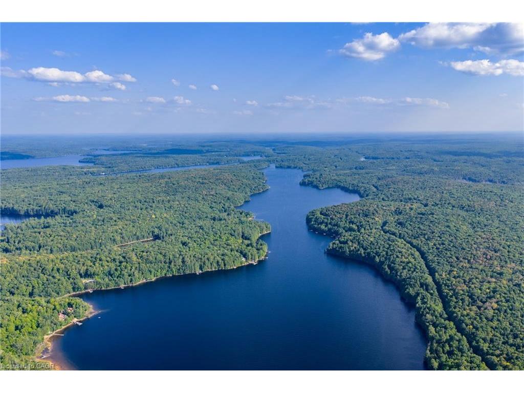 









2726


Kushog Lake

Road,
Haliburton,







ON
K0M 1J2

