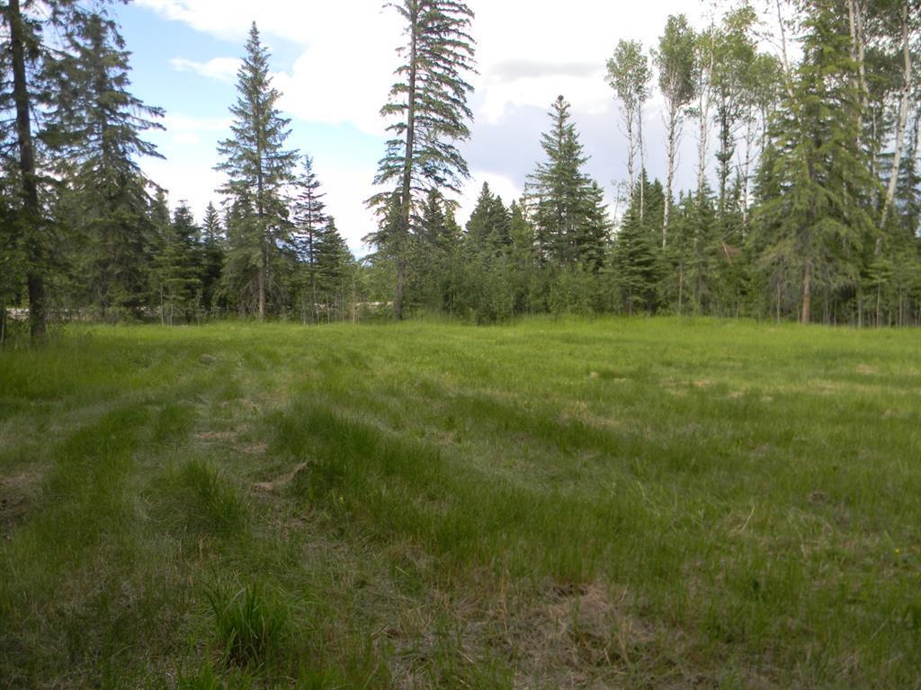 









119


Meadow Ponds

Drive,
Rural Clearwater County,







AB
T4T 1A7

