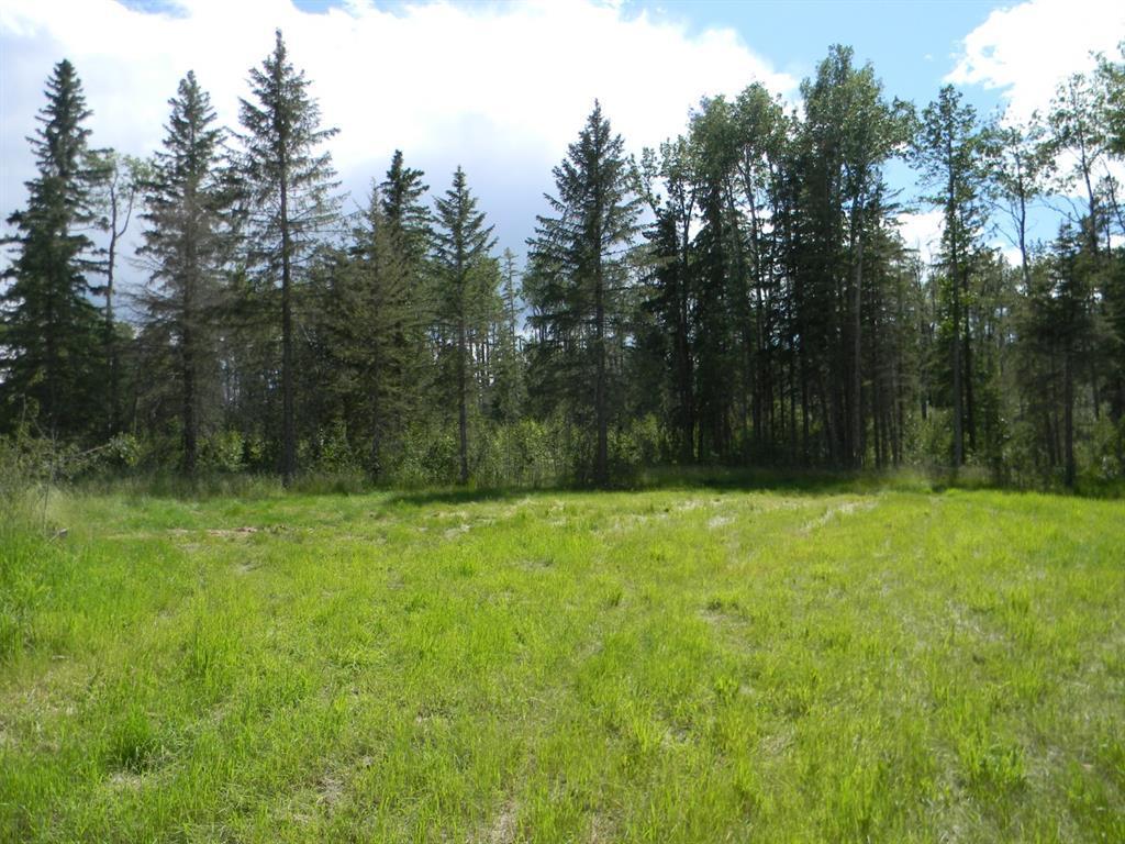 









115


Meadow Ponds

Drive,
Rural Clearwater County,







AB
T4T 1A7


