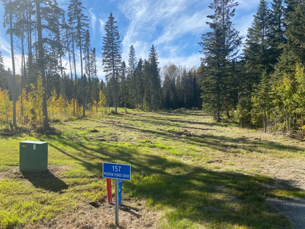 









157


Meadow Ponds

Drive,
Rural Clearwater County,







AB
T4T 1A7

