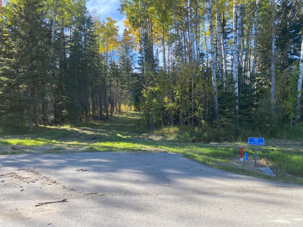 









161


Meadow Ponds

Drive,
Rural Clearwater County,







AB
T4T 1A7


