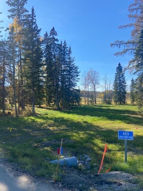 









409


Valley View

Close,
Rural Clearwater County,







AB
T4T 1A7

