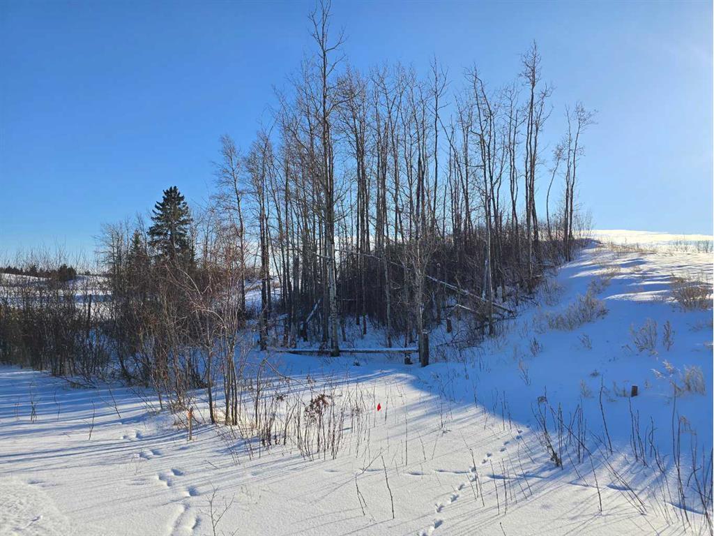 









309


Wolf Run

Drive,
Rural Ponoka County,







AB
T4J 0B3

