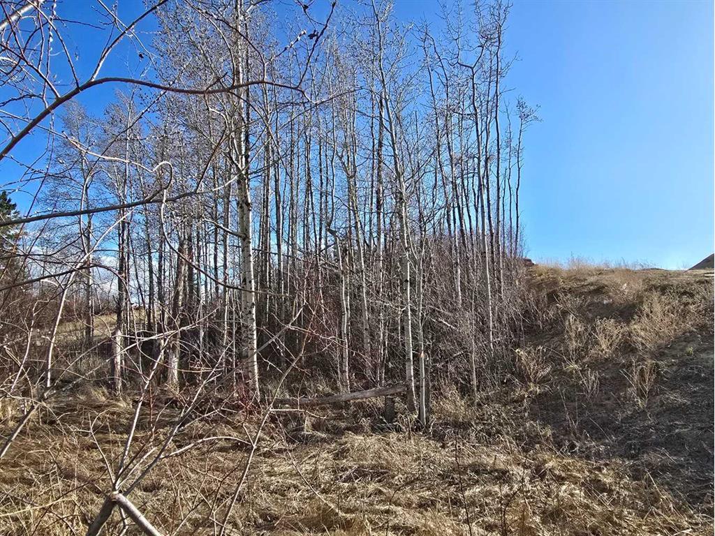 









309


Wolf Run

Drive,
Rural Ponoka County,







AB
T4J 0B3

