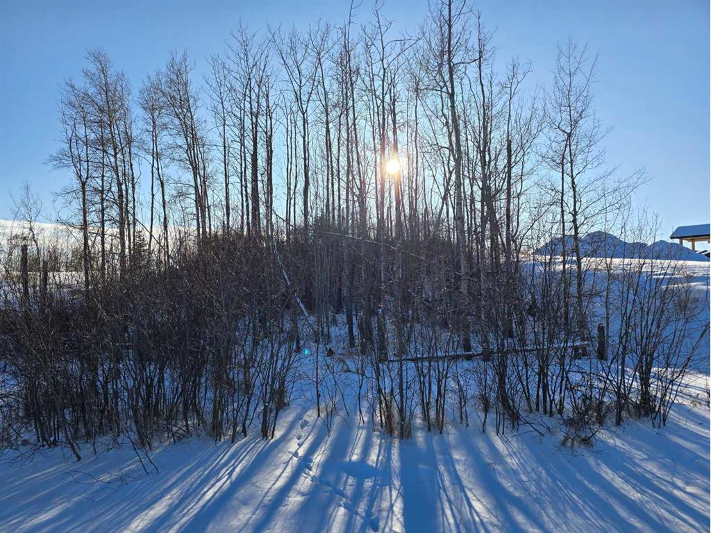 









309


Wolf Run

Drive,
Rural Ponoka County,







AB
T4J 0B3

