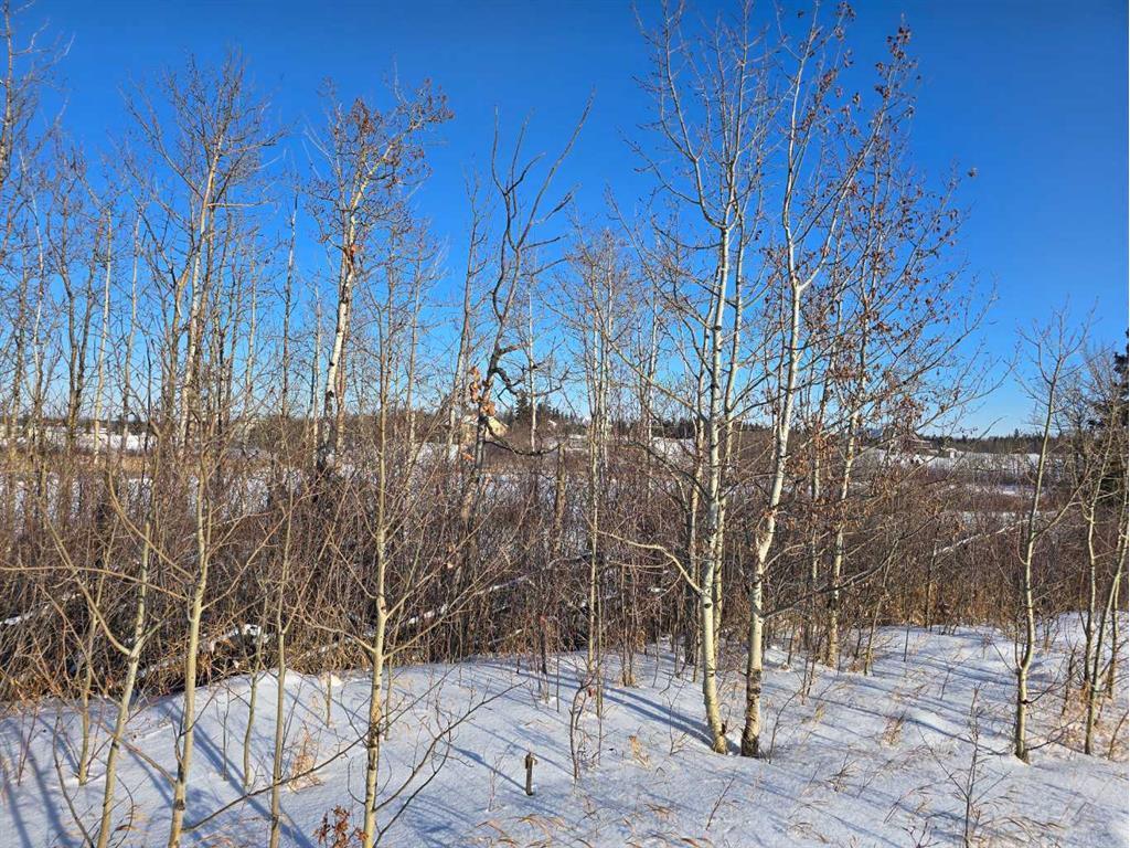









309


Wolf Run

Drive,
Rural Ponoka County,







AB
T4J 0B3

