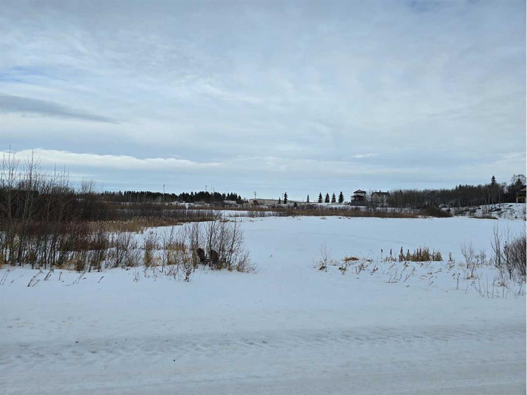









309


Wolf Run

Drive,
Rural Ponoka County,







AB
T4J 0B3

