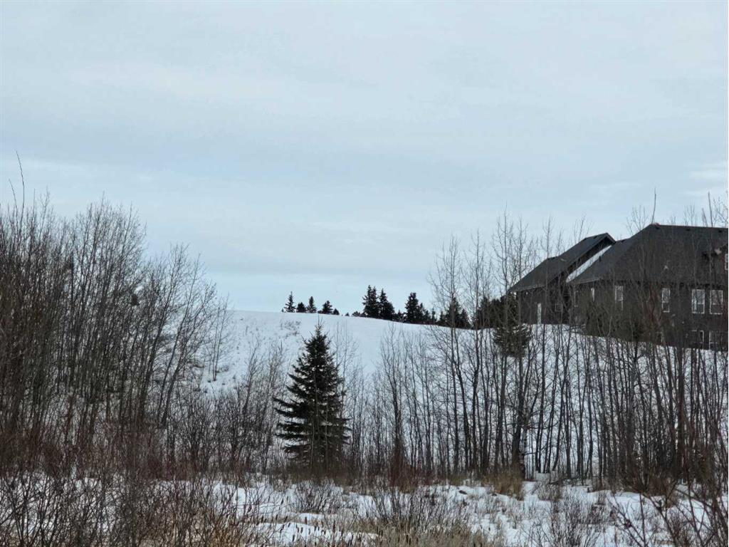 









309


Wolf Run

Drive,
Rural Ponoka County,







AB
T4J 0B3

