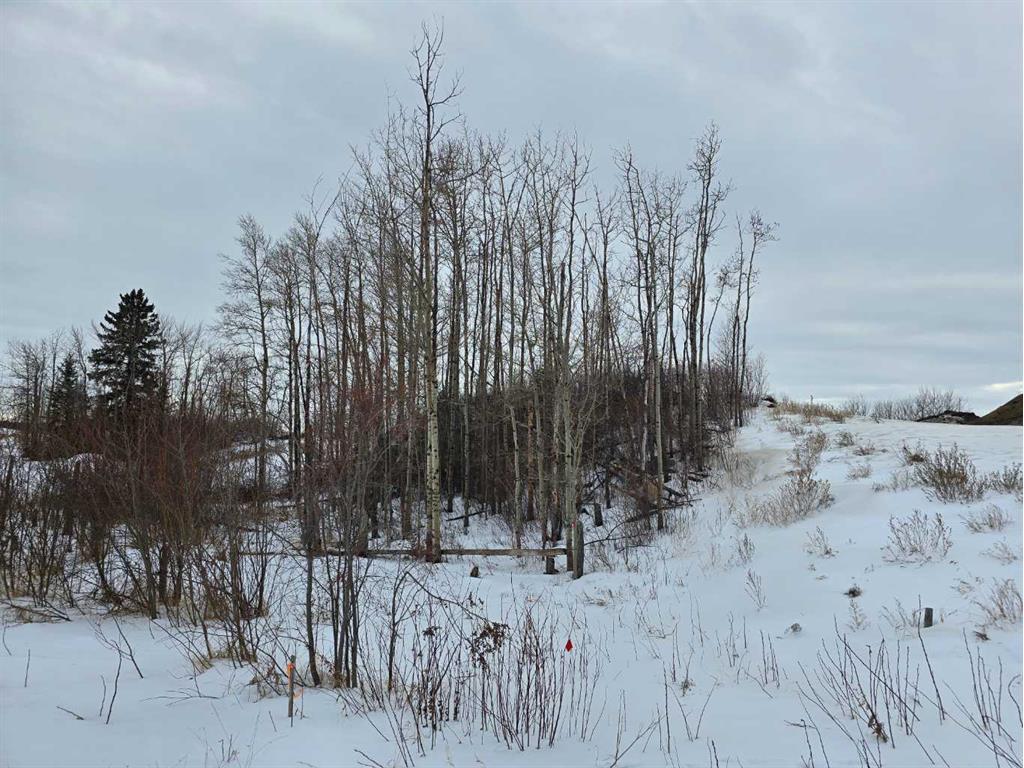 









309


Wolf Run

Drive,
Rural Ponoka County,







AB
T4J 0B3

