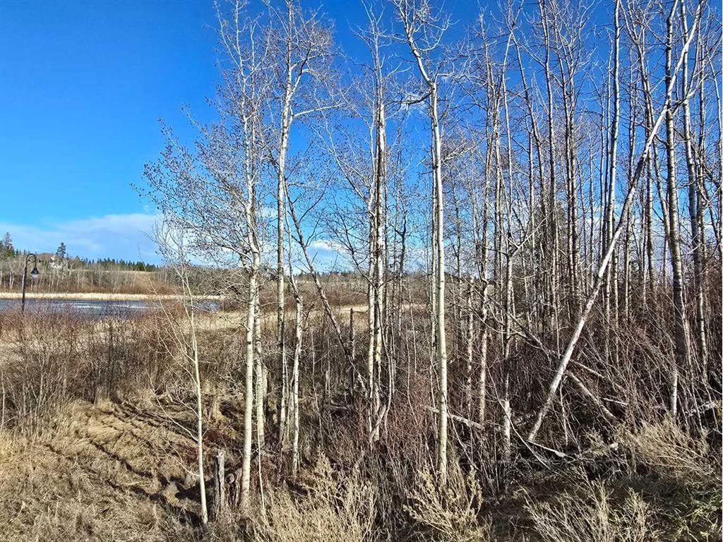 









309


Wolf Run

Drive,
Rural Ponoka County,







AB
T4J 0B3

