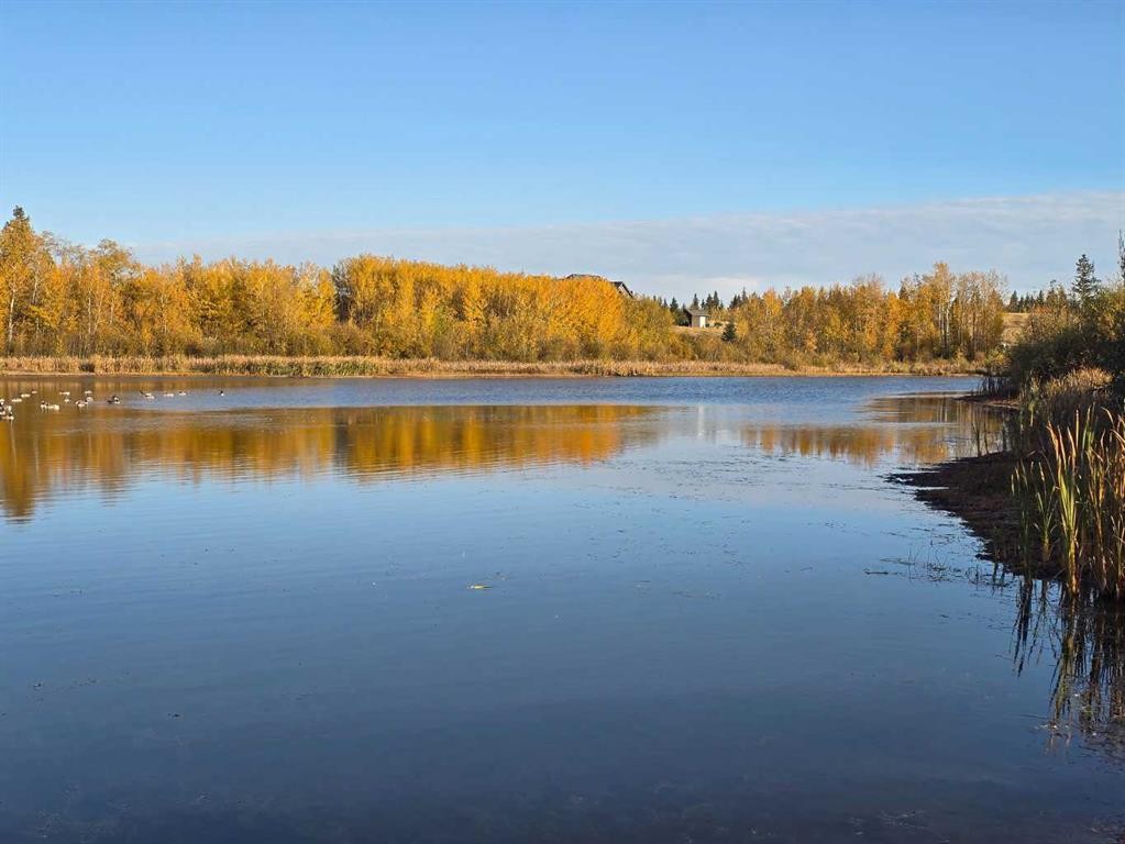 









309


Wolf Run

Drive,
Rural Ponoka County,







AB
T4J 0B3

