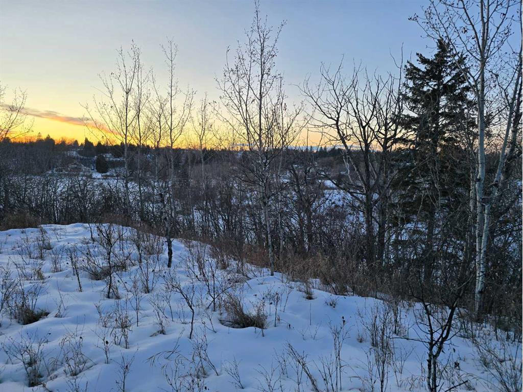 









20


Cranna Lake

Drive,
Lacombe,







AB
T4L 1S5

