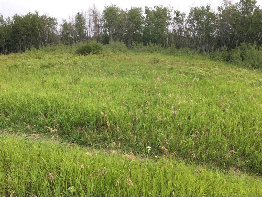 









20


Cranna Lake

Drive,
Lacombe,







AB
T4L 1S5

