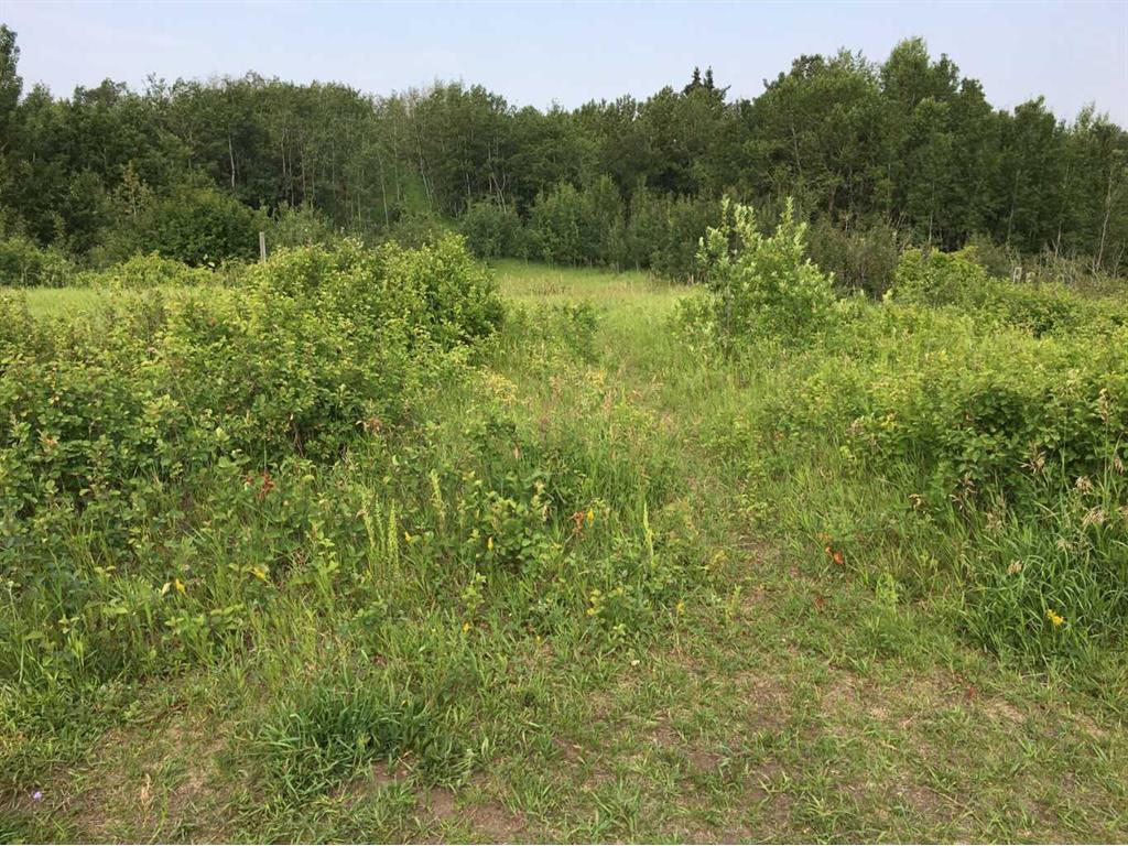 









20


Cranna Lake

Drive,
Lacombe,







AB
T4L 1S5

