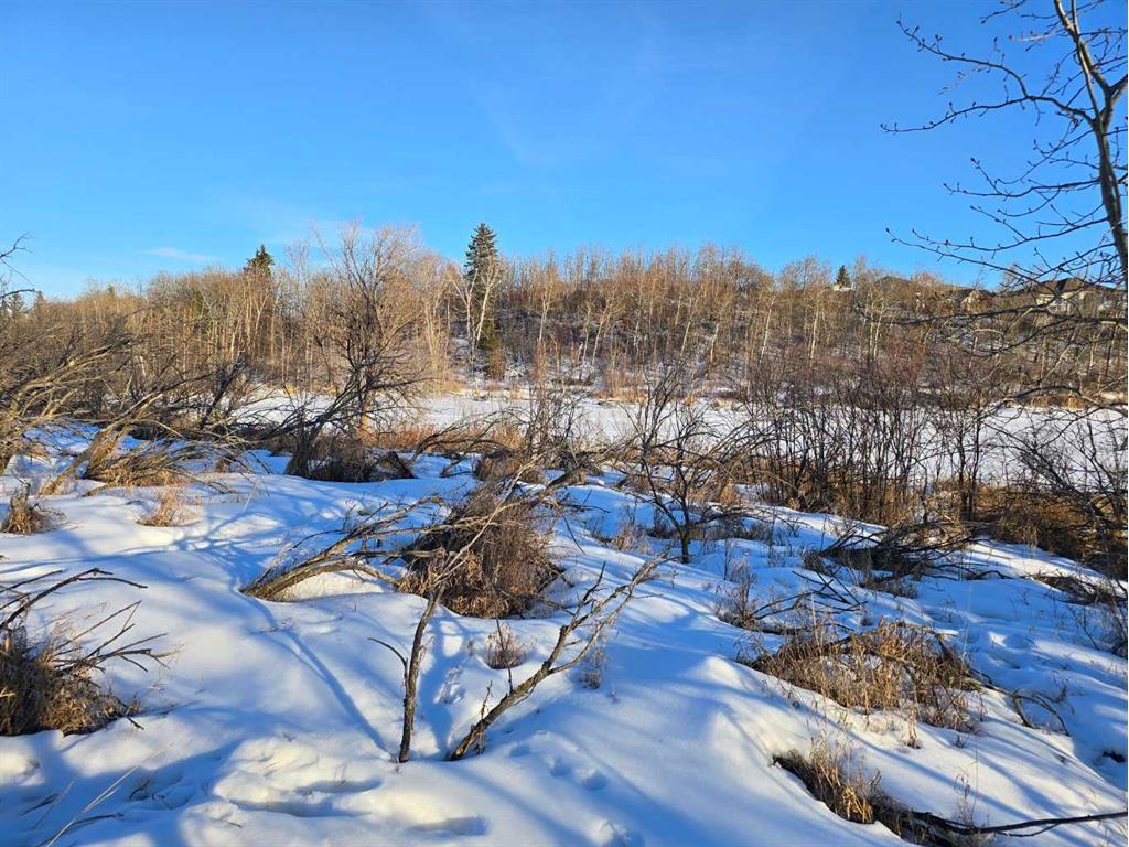 









20


Cranna Lake

Drive,
Lacombe,







AB
T4L 1S5

