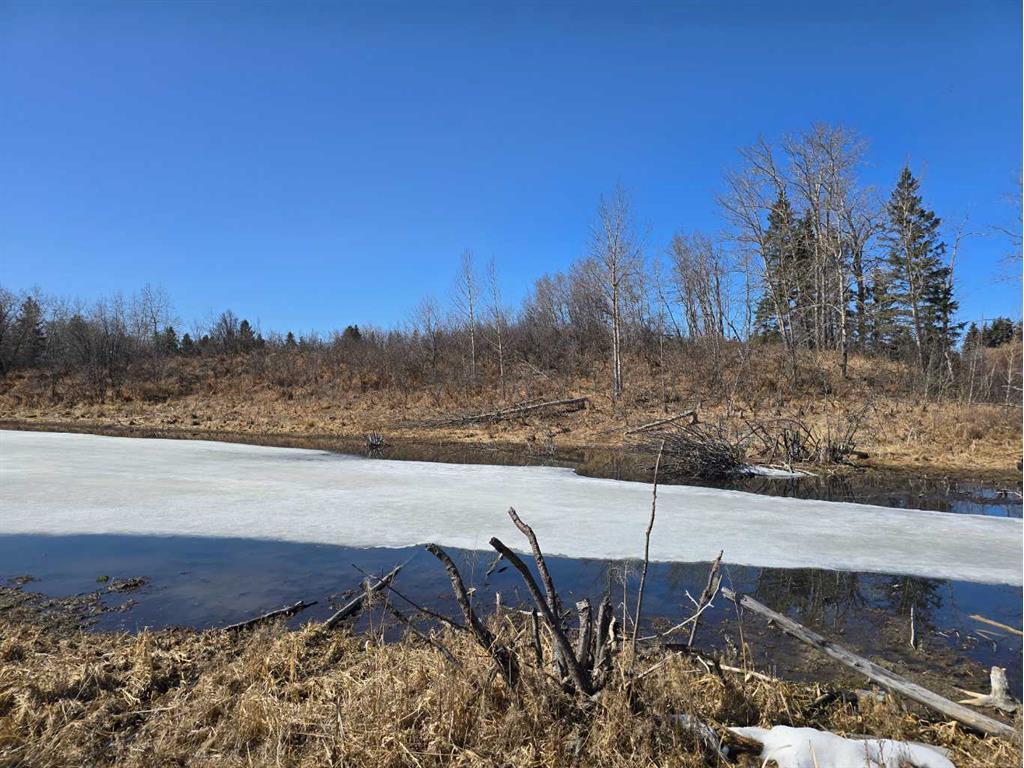 









20


Cranna Lake

Drive,
Lacombe,







AB
T4L 1S5

