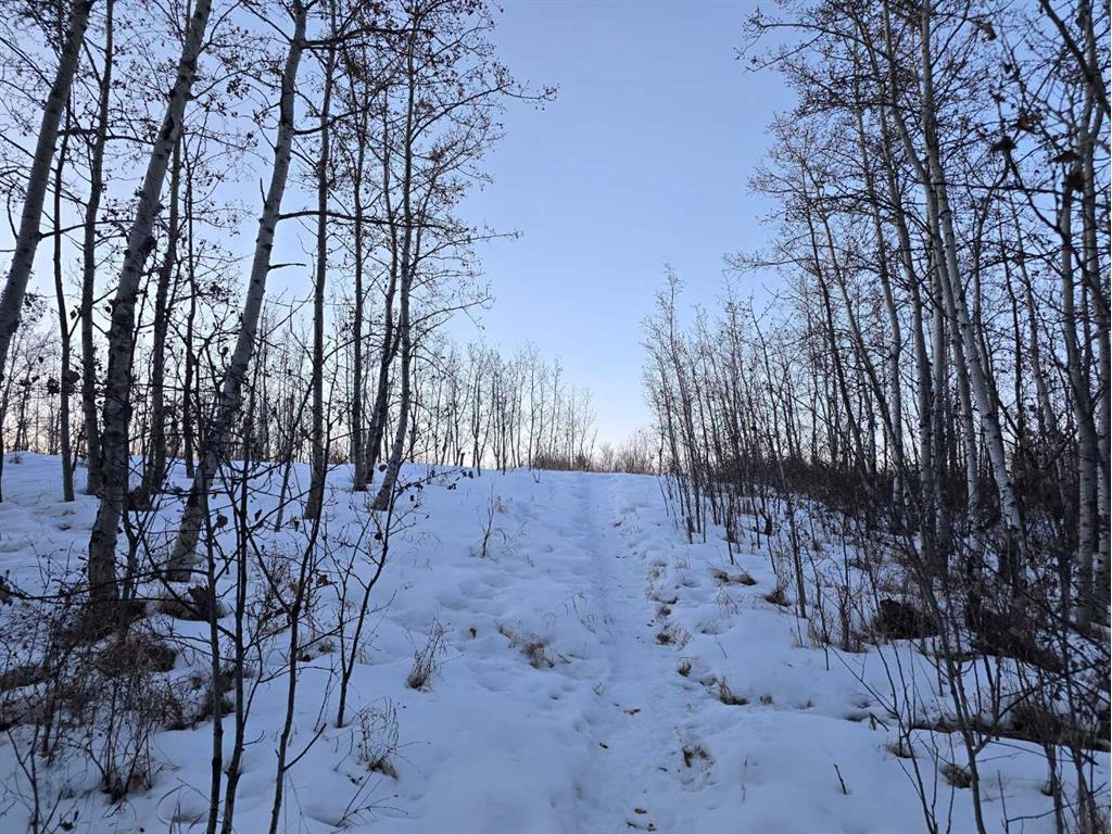 









20


Cranna Lake

Drive,
Lacombe,







AB
T4L 1S5

