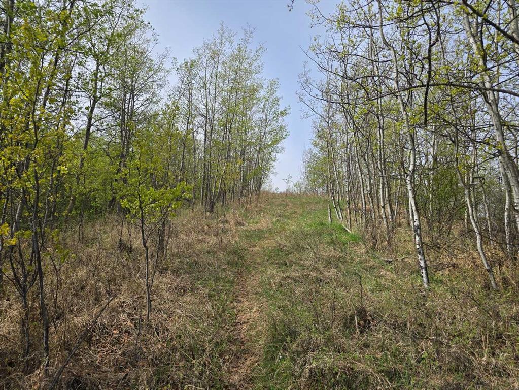 









20


Cranna Lake

Drive,
Lacombe,







AB
T4L 1S5

