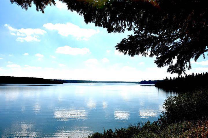 









25054


South Pine Lake Road

, 29,
Rural Red Deer County,




AB
T0M 1R0

