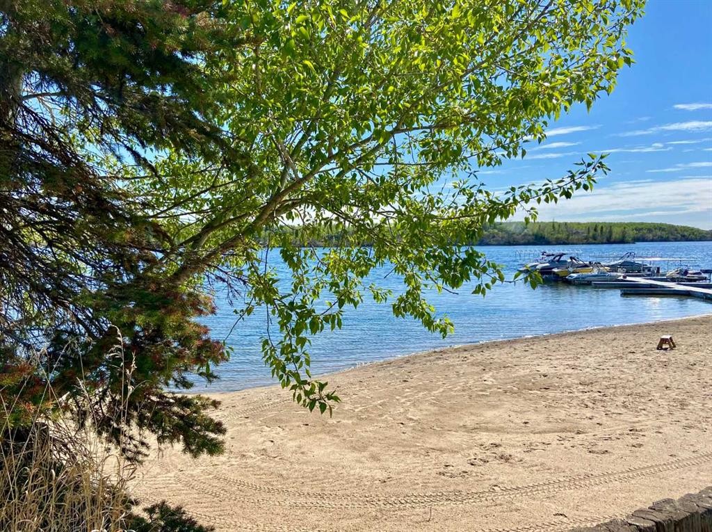 









25054


South Pine Lake

Road, 113,
Rural Red Deer County,




AB
T0M 1R0

