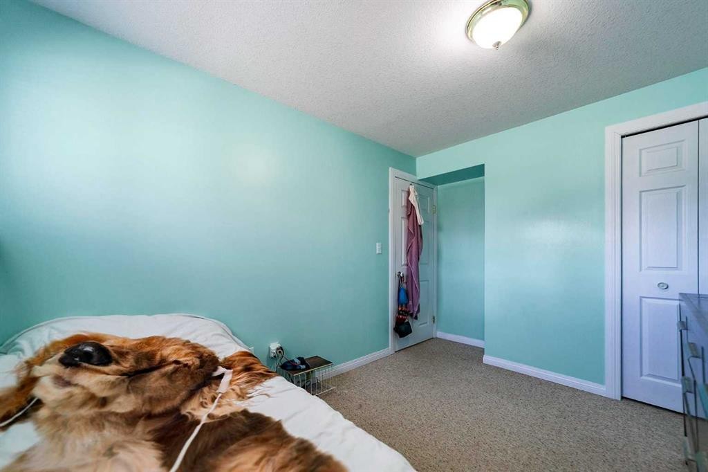 









5419


53

Street,
Camrose,




AB
T4V4N6

