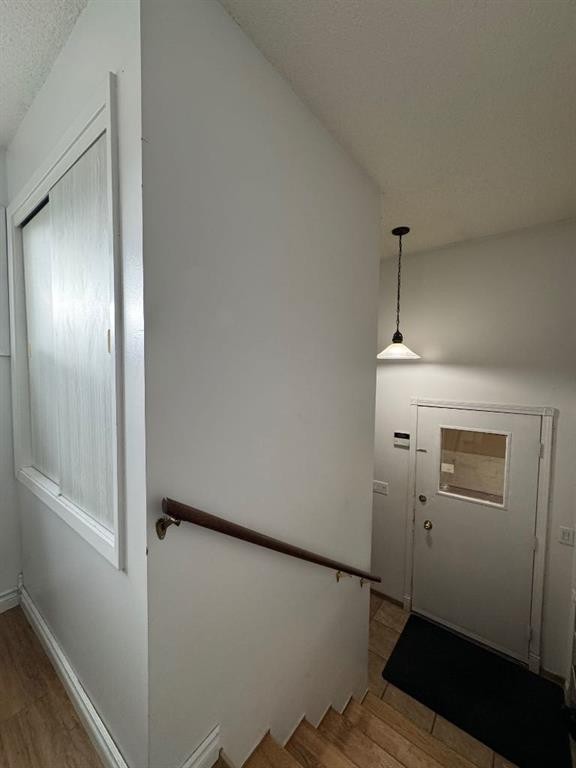 









5210


Waghorn

,
Blackfalds,




AB
T0M0J0

