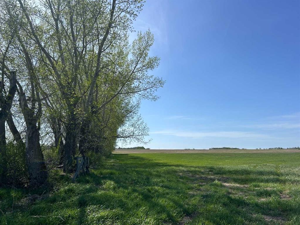 









TWP Rd 352


RR 271

,
Rural Red Deer County,







AB
T4N6V1

