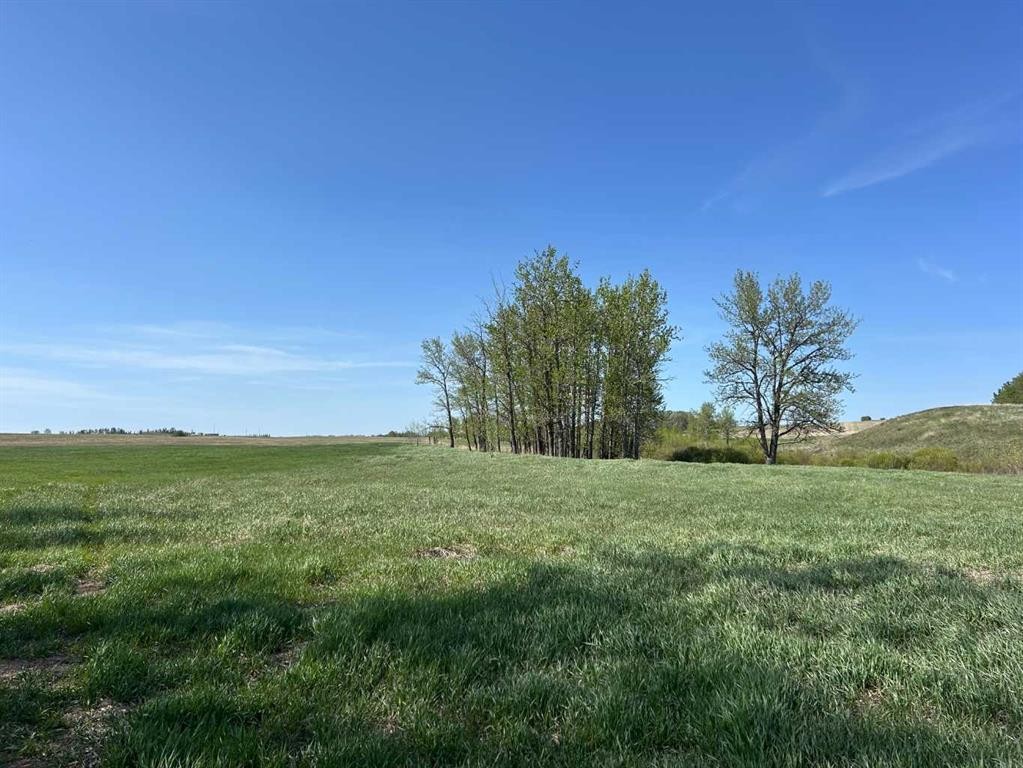 









TWP Rd 352


RR 271

,
Rural Red Deer County,







AB
T4N6V1

