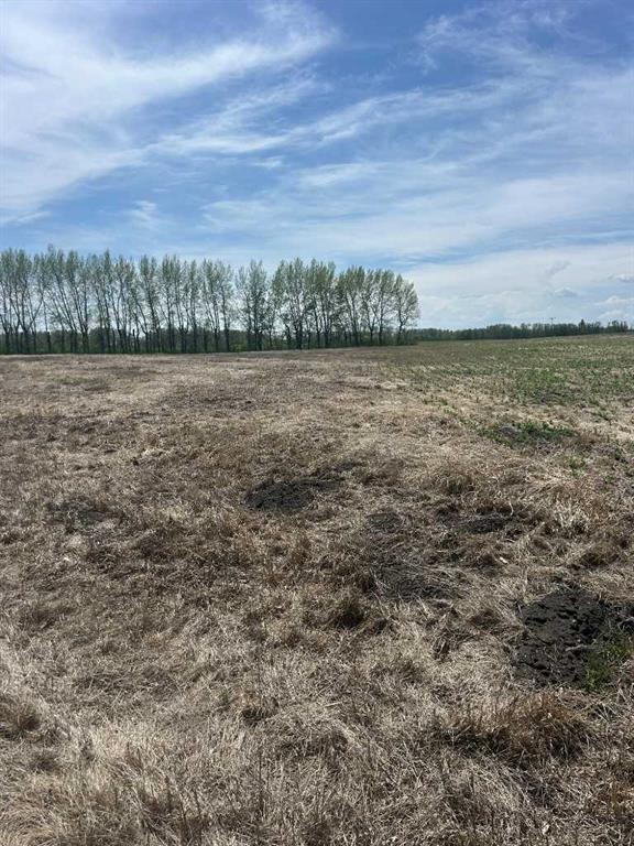 









TWP Rd 352


RR 271

,
Rural Red Deer County,







AB
T4N6V1

